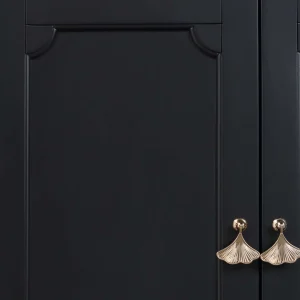 Providence Asbury Black 2-Door Cabinet Cheaper