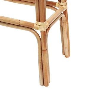 Set Of 2 Indah Rattan Backless Barstool, Honey Bargain Sale